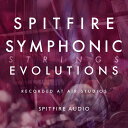 SPITFIRE AUDIO/SPITFIRE SYMPHONIC STRINGS EVOLUTIONSyIC[izy݌ɂz