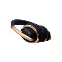 GENESIS SOUND TECHNOLOGY/Infinity Luxury Gold