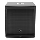 Mackie/DLM12S