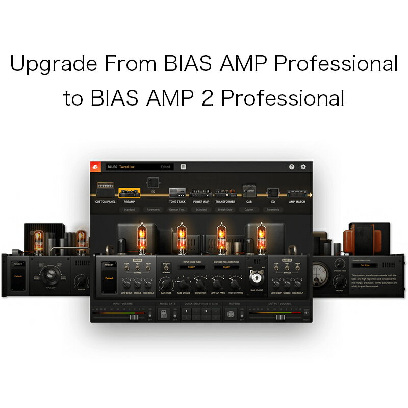 Positive Grid/Upgrade From BIAS AMP Professional to BIAS AMP 2 Professional【オンライン納品】