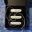 Total Gravy Guitarworks/69 Strat Set / Aged【お取り寄せ商品】