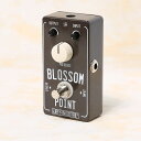 Surfy Industries/Blossom Point【お取り寄せ商品】