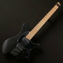 strandberg/Salen Classic NX 6 Tremolo (Black) #679【新品特価 berg】【在庫あり】