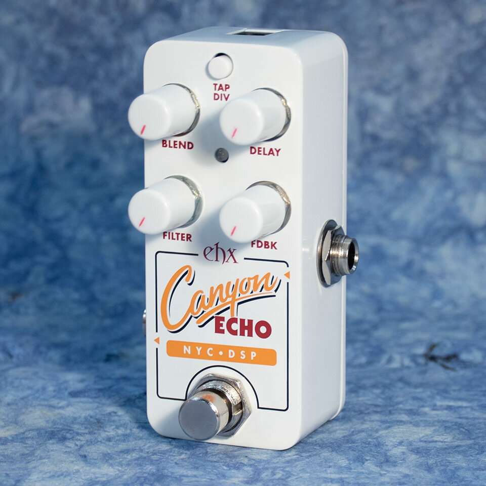 Electro-Harmonix/PICO CANYON ECHO【在庫あり】