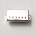 ThroBak/PRE-T-301 MXV BRIDGE NICKEL【ナンバード】【リア】【お取り寄せ商品】
