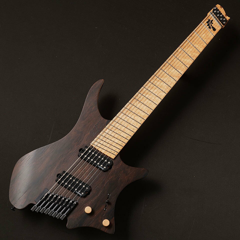 strandberg/Boden NX 8 Richard Henshall Edition #837【Artist Signature】