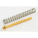 ALLPARTS/Pack of 4 Gold Humbucking Screws【7547】【在庫あり】