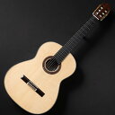 KODAIRA/AST-100S #46306【在庫あり】