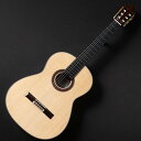 KODAIRA/AST-100S #46296【在庫あり】
