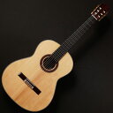 KODAIRA/AST-100S #46218【在庫あり】【2506G1】