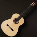 KODAIRA/AST-100S #46299【在庫あり】