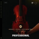 【製品概要】 ■Abbey Road Orchestraシリーズ初のストリングス・ライブラリ 『ABBEY ROAD ORCHESTRA: 1ST VIOLINS PROFESSIONAL』は、未だかつて無い究極の情緒表現を実現する1stバイオリン専用のストリングス・ライブラリです。 Spitfire Audioの設立者の一人 Paul Thomson 氏に、「頭の中にあるパーフェクトなストリングスの音に最も近づいたに違いない。」と言わしめるほどの完成度に至った今作。それを実現したのは、こだわり尽くした「レガート」です。 様々な場面に合わせて使い分けることができる複数のレガートは、フレーズに豊かな情緒を与えます。 さらに、16種類のマイクシグナルを必要に応じて自由にミックスすることも可能。本作は、プロの作曲家のために丁寧に制作された至高のライブラリです。 ■エディション ABBEY ROAD ORCHESTRA: 1ST VIOLINS シリーズには下記のような違いを持つ、2種類のエディションが存在します。 ・『ABBEY ROAD ORCHESTRA: 1ST VIOLINS CORE』 ・『ABBEY ROAD ORCHESTRA: 1ST VIOLINS PROFESSIONAL』（本製品） 【製品詳細】 ■パフォーマンスと正確な音楽表現の融合 ヴァイオリニストが音符から音符へと切れ目なく移行するテクニックを再現し、音符間の移行をスムーズかつ表現豊かに行えるように綿密にレコーティングされています。レガートは、PRO版、CORE版ともに改良されており、複数のダイナミック・レガート・インターバル、そして演奏速度やベロシティによってトリガーされる柔軟なインターバル・タイプを備えています。 ■過去と未来を紡ぐ Abbey Road サウンド エドワード・エルガーやセルゲイ・プロコフィエフなどの有名なクラシック音楽の録音や、ロード・オブ・ザ・リング、スター・ウォーズ エピソード5/帝国の逆襲、そして最近ではアベンジャーズなどの象徴的な映画音楽の録音が行われており、こと映画音楽界においては説明不要の存在です。 Abbey Road Studios の Studio Oneには、ヴィンテージなものから現代的なものまで様々なマイクを集めた最高のコレクションがあり、コントロール・ルームには72チャンネルの Neve 88 RS コンソールとユニークで包括的なサラウンド・モニター・セクションが設置されており、細心の注意を払って行われるレコーディング・セッションに最適な環境となっています。 Spitfire Audioの目標は、映画音楽界で最も需要の高いレコーディング・スタジオの一つであるアビーロードで、世界で最も詳細なサンプリング・オーケストラをお届けすることです。 【収録内容】 ■Legato Techniques ・Performance Legato (Extended) 実際の演奏速度にリアルタイムで反応する、解像度と演奏性が非常に高いレガート。PRO版専用の本アーティキュレーションでは、ポルタメントとデタッシェのレガート・スタイルに加え、単音向けにマルカートとソフト・エントリーが追加。過去最高傑作のレガート。 ・Lyrical Legato (extended) ゆったりとしたメロディー用のレガート。PRO版専用の本アーティキュレーションでは、ポルタメントとデタッシェのレガート・スタイルに加え、単音向けにマルカートとソフト・エントリーが追加。 ・Performance Legato 実際の演奏速度にリアルタイムで反応する、解像度と演奏性が非常に高いレガート。 ・Lyrical Legato ゆったりとしたメロディー用のレガート。 ・Legato Runs 速いパッセージや短3度までの駆け上がりに特化した、非常に機敏なレガート。 ・Legato Detache すべての接続音において、弓のストロークが広いが分離しており、強くインパクトのある表現に最適。 ・Legato Portamento 音と音の間をスライドさせるレガート。 ・Legato Slurred スラーが追加されたレガート。滑らかなメロディのために「Moderate」のタッチで演奏される。 ・Legato Allegro スラーが追加されたレガート。アップテンポで演奏される。 ■Long Techniques ・Long (Extended) ポリフォニックなサステイン・ロング・パッチ。PRO版専用の本アーティキュレーションでは、単音向けにマルカートとソフト・エントリーが追加。 ・Long パッドやコード向けのポリフォニックなサステイン・ロング・パッチ。 ・Flautando 指板の近くで弓を素早く使用し、繊細でエアリーなフルートのような音を出す。 ・Tremolo 素早いボウイングで演奏されるテクニック。低いダイナミクスでは繊細で軽快なテクスチャーを作り出し、ダイナミクスが大きくなると迫力が増す。 ・Harmonics 弦の倍音（人工ハーモニクス）から生み出されるサステイン。基音よりも高く響き、ガラスのように緊張感のあるテクスチャーを作り出す。 ・Trills (Major ＆ Minor 2nds ＆ 3rds) 2つの音を交互に素早く鳴らす。 ・Tremolo (Measured - 150 ＆ 180 BPM) DAWとテンポ同期し、指定された数の反復を行うトレモロ。 ■Short Techniques ・Spiccatissimo 弓を弦の上で素早く弾ませることによって、極めて短い音を演奏する。 ・Spiccato 弓を弦の上で素早く弾ませることによって、短く歯切れのよい音を演奏する。 ・Staccato 弓を弦の上で動かし、アクセントのある短い音を演奏する。 ・Marcato スタッカートよりも長い音で演奏する。 ・Pizzicato 弦を指で弾いて出す短い音。 ・Col Legno 弓の背や鉛筆で弦を叩き、軽快で木質感のある音を出す奏法。 ■Signals ・Mix 1 「Tree 1」、「Outriggers 1」、オーバーヘッド、そして厳選されたスポットのサウンドをブレンドしたフルサウンドのルームミックス。 ・Mix 2 「Tree 2」、「Mids」、「Outriggers 2」、そして厳選されたスポットのサウンドをブレンド。 ・Close 各デスクに設置された小型ダイアフラム・コンデンサー・マイクは、細部まで明瞭なクローズ・イメージを捉える。 ・Close Ribbons 各デスクに設置されたリボンマイクのコンビネーションが、暖かく丸みのあるクローズ・イメージを捉える。 ・Pop Main 単一指向性のステレオ・バルブ・マイクをセクションの上部に配置し中央にパンすることで、オーケストラの配置にとらわれない柔軟なイメージを実現。 ・Pop Room 無指向性のコンデンサー・マイクをセクションの両脇に配置し、「Pop Main」シグナルに余裕と空間を加える。 ・Tree 1 アビーロード最高のクラシック・バルブ無指向性マイクのトリオで形成されたデッカ・ツリーは、みずみずしくふくよかなサウンドを生み出す。 ・Tree 2 より指向性の強いマイクから形成されるタイトでクローズなデッカ・ツリーは、より速く、より詳細なサウンドに適している。 ・Outriggers 1 どちらかのツリーと組み合わせて使用することで、よりワイドなイメージを得ることが可能。このペアは無指向性マイクを使用し、Studio Oneの全体を再現する。 ・Outriggers 2 どちらのツリーとも併用することで、よりワイドなイメージを得ることが可能。このペアは指向性の強いマイクを使用し、部屋の端を内側に引き込む。 ・Mids 指揮者と奏者の間に設置された真空管REDDマイクのペアは、「Tree」や「Outriggers」と組み合わせることで、サウンドにさらなる具体性を加える。 ・Ambients 小型ダイアフラムの無指向性マイクを部屋の後方に設置することで、自然なアンビエンスが得られる。 ・Vintage 1 1940年代のオリジナルRM1Bリボンマイクを指揮者の前に2本配置し、ヴィンテージ・スコアリングのステージ・サウンドを創り出す ・Vintage 2 クラシックな44BXリボンマイクのペアを指揮者の側に配置し、ヴィンテージ・スコアリングのステージ・サウンドを再現する。 ・Leader セクションリーダーに設置された1本のマイクで、必要に応じてセクション全体の上に具体性を与えるために使用する。 ・Spill 他のセクションの周囲に配置されたスポットマイクの集合。音源からオーケストラ全体への自然な「こぼれ」をとらえ、臨場感を高める。 【製品仕様】 ※動作環境などの最新情報につきましては、メーカー及び代理店の公式HPをご確認ください。 ※ソフトウェア製品という性質上、製品納品後のキャンセルはできかねますので、ご了承ください。 ※こちらの商品はソフトウェア音源となり、実際の楽器ではありません。