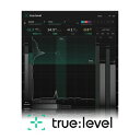 ※本製品の他、トーナルバランスの分析を行う『TRUE:BALANCE』、また本製品と『TRUE:BALANCE』を同梱した『METERING BUNDLE』がございます。 【製品概要】 『TRUE:LEVEL』は、『SMART:LIMIT』のラウドネスとダイナミクスのモニタリング・セクションをベースに開発されたメータリング・プラグインです。 ラウドネスとダイナミクスの相互作用をユニークに視覚化することで、これらの管理を直感的／簡易なものにしました。 トラックのマスタリング時には、公開先のストリーミング・プラットフォームに必要なラウドネスや、ジャンルに適したダイナミクスへの調整が必要です。本製品には、プラットフォームやジャンルに適したラウドネス／ダイナミクスのリファレンスが収録されており、適切なマスタリングへの道のりが一目で判断できます。また、リファレンスとなるトラックをアップロードすることも可能なため、理想とするサウンドを視覚的に分析できます。 さらに「Level Check（レベルチェック）」機能を使用することで、選択したリファレンスを満たすために必要なアクションが提案されます。またラウドネス・ヒストグラムやダイナミクス・ヒストグラムなどの追加機能により、オーディオ素材全体のクオリティを詳細かつ一貫した形で把握できます。 【製品特徴】 ■スペクトル分布の分析に特化 ■リアルタイムでのメータリングと、感覚的にトーナルバランスを把握可能な視覚化 ■効率的なワークフローを実現する、豊富なリファレンス・オプション ■シンプルで直感的なユーザー・インターフェース ■ミキシングに確実な変化をもたらすバランスのチェック ※動作環境などの最新情報につきましては、メーカー及び代理店の公式HPをご確認ください。 ※ソフトウェア製品という性質上、製品納品後のキャンセルはできかねますので、ご了承ください。 ※こちらの商品はソフトウェア音源となり、実際の楽器ではありません。