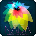 ENGINE AUDIO/NADA【~08/20 期間限定特価キャンペーン】【オンライン納品】【在庫あり】