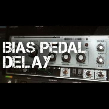 Positive Grid/BIAS Pedal Delay Desktop【期間限定特価キャンペーン】【オンライン納品】