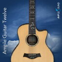 AMPLE SOUND/AMPLE GUITAR TWELVE III【～05/09 期間限定特価キャンペーン】【オンライン納品】【在庫あり】