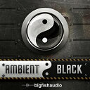 BIG FISH AUDIO/Ambient BlackyIC[izy݌ɂz