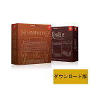 IK Multimedia/Hammond B-3X Leslie Collection【ダウンロード版】【オンライン納品】