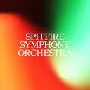 SPITFIRE AUDIO/SPITFIRE SYMPHONY ORCHESTRA【~08/20 期間限定特価キャンペーン】【オンライン納品】【在庫あり】