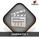 VENGEANCE SOUND/CINEMATIC 1【オンライン納品】【在庫あり】