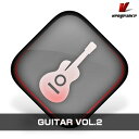 VENGEANCE SOUND/GUITARS VOL.2【オンライン納品】【在庫あり】