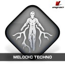 VENGEANCE SOUND/MELODIC TECHNO 3【オンライン納品】【在庫あり】