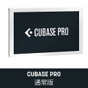 Steinberg/CUBASE PRO /RyCUBASE PRO ʏŁzy݌ɂz