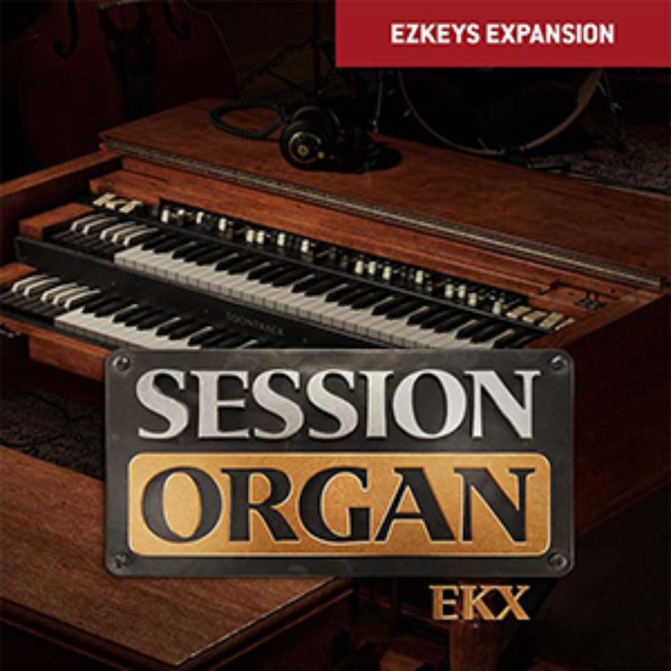 TOONTRACK/EKX - SESSION ORGANyIC[izy݌ɂz