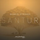 EVOLUTION SERIES/WORLD STRINGS SANTUR【オンライン納品】【在庫あり】