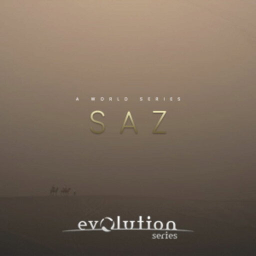 EVOLUTION SERIES/WORLD STRINGS SAZ【オンライン納品】【在庫あり】 EVOLUTION SERIES/WORLD STRINGS SAZ【オンライン納品】【在庫あり】