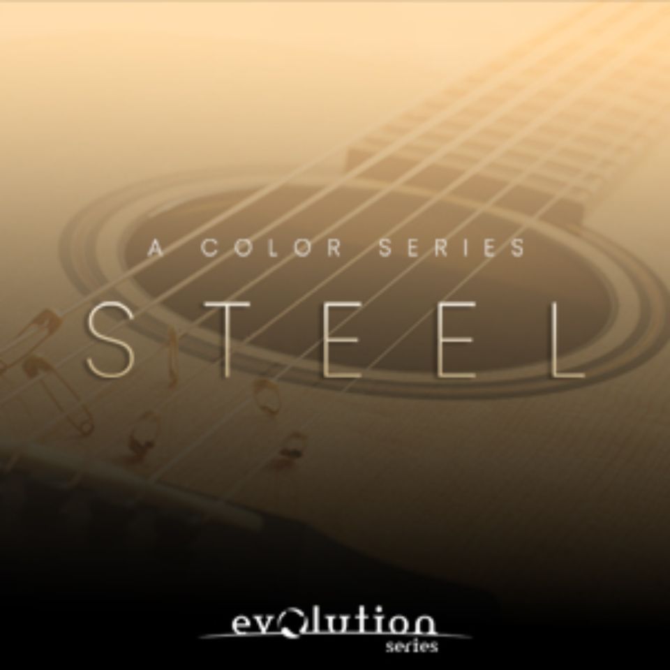 EVOLUTION SERIES/PREPARED COLORS STEEL【オンライン納品】【在庫あり】