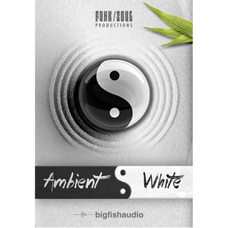 BIG FISH AUDIO/AMBIENT WHITE【オンライン納品】【在庫あり】