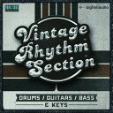 BIG FISH AUDIO/VINTAGE RHYTHM SECTION【オンライン納品】【在庫あり】