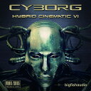 BIG FISH AUDIO/CYBORG【オンライン納品】【在庫あり】