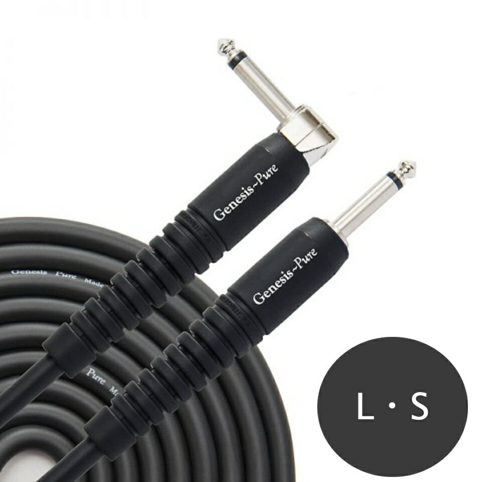 ANALYSIS PLUS/GENESIS PURE ブラック 30cm L/S