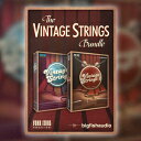 BIG FISH AUDIO/VINTAGE STRINGS BUNDLE【オンライン納品】【在庫あり】