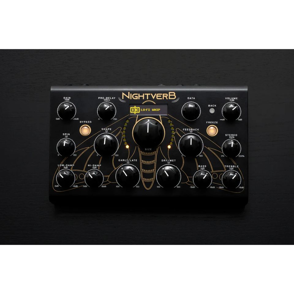 NIGHTVERB