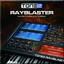 TONE2/RAYBLASTER【オンライン納品】