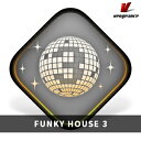 VENGEANCE SOUND/FUNKY HOUSE 3【オンライン納品】