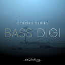 EVOLUTION SERIES/WORLD COLORS BASS DIZI【オンライン納品】【在庫あり】