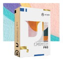 ARTURIA/V COLLECTION PRO LICENSE【オンライン納品】【在庫あり】