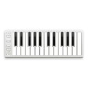 ESIAudiotechnik/Xkey Air 25【在庫あり】
