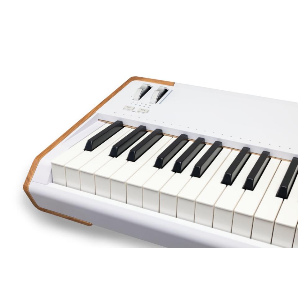 ARTURIA ASTROLAB88