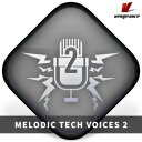 VENGEANCE SOUND/MELODIC TECH VOICES 2【オンライン納品】【在庫あり】