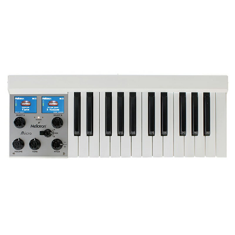 Mellotron/Mellotron Micro