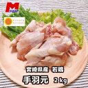 若鶏手羽元 2kg 国産鶏肉 若鶏 手羽もと 手羽元 鶏肉 冷凍肉 チキン 鶏 焼肉 bbq バーベキュー 2キロ お肉おいしい 取り寄せ 国産 お取り寄せ 宮崎 鳥 若どり とりにく 宮崎産 冷凍 宮崎 大容量 美味しい 取り寄せ 鶏肉2キロ　精肉