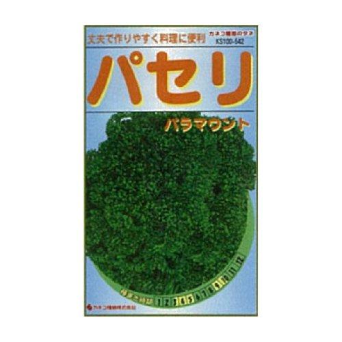カネコ種苗 園芸・種 KS100シリーズ パセリ パラマウント 野菜100 542