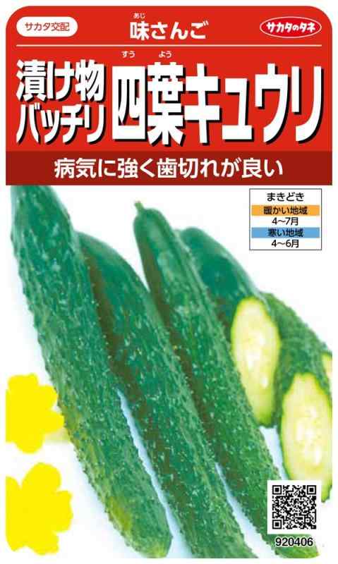 サカタのタネ 実咲野菜0406 漬け物バッチリ四葉キュウリ 味さんご 00920406