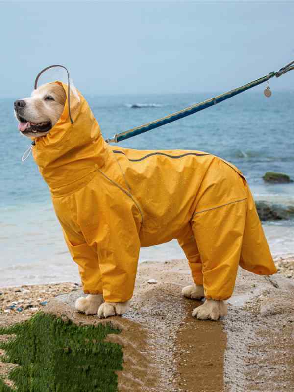 ドッグウェア レインコート ペット用品 ポンチョ 中型 大型 犬 アラスカ オールインクルーシブ 接着防水 雨具 カジュアル イエロー レッド ブルー