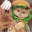 ドッグウェア 帽子 猫 首輪 犬 ペット 調節可能 ネックスリーブ ファニー コメディ 頭飾り 小道具
